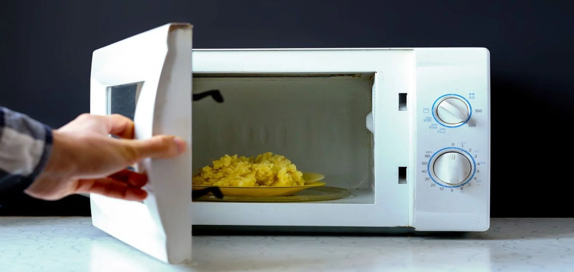 Microwave Repair Service at Home
